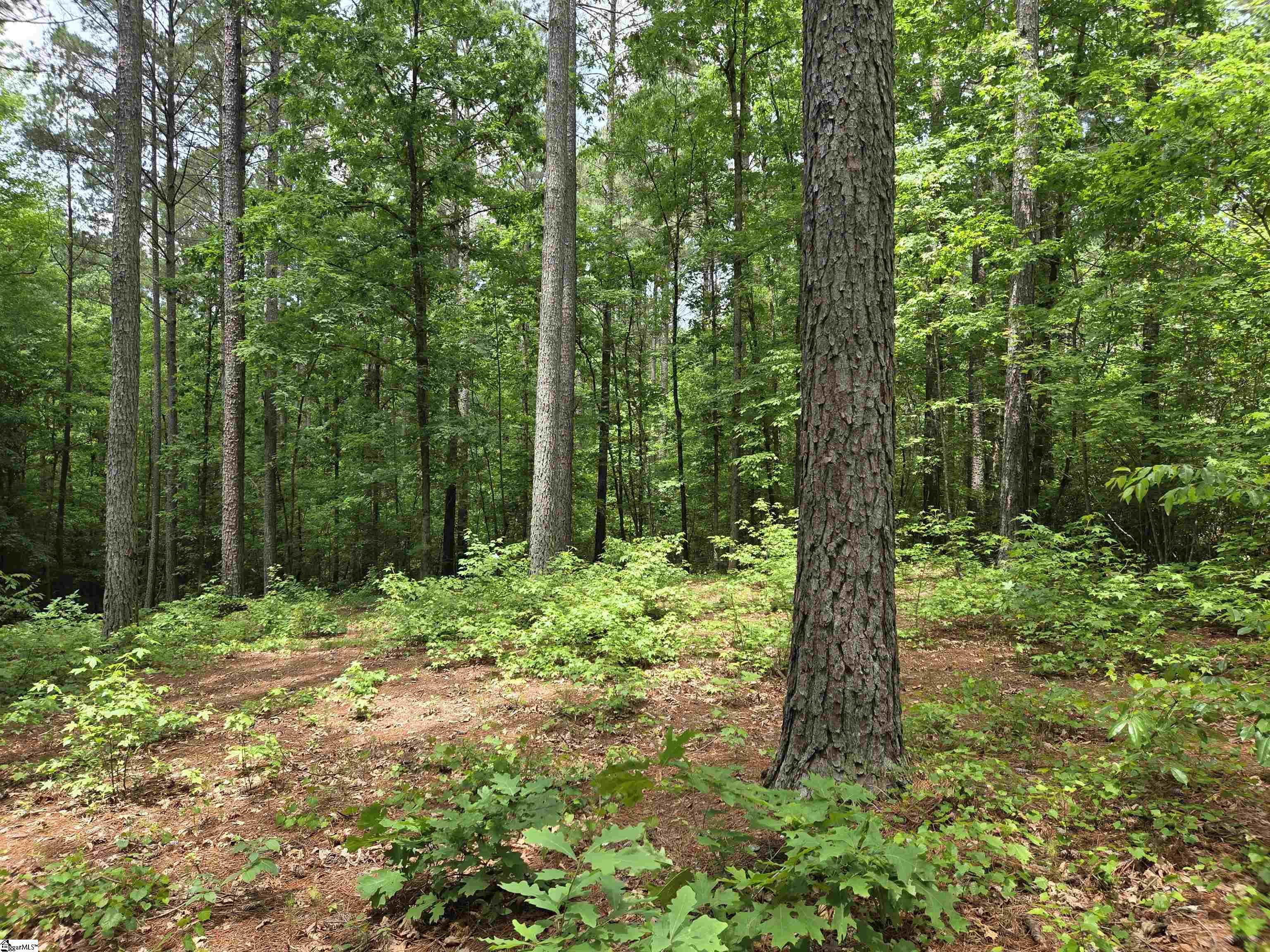 8 Belk Road