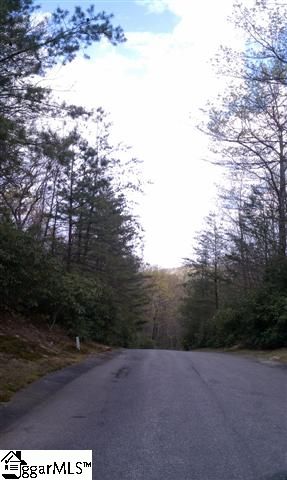 Photo 1 of 1 — Lot 207 Conifer Falls Rd., Cleveland, SC 29635