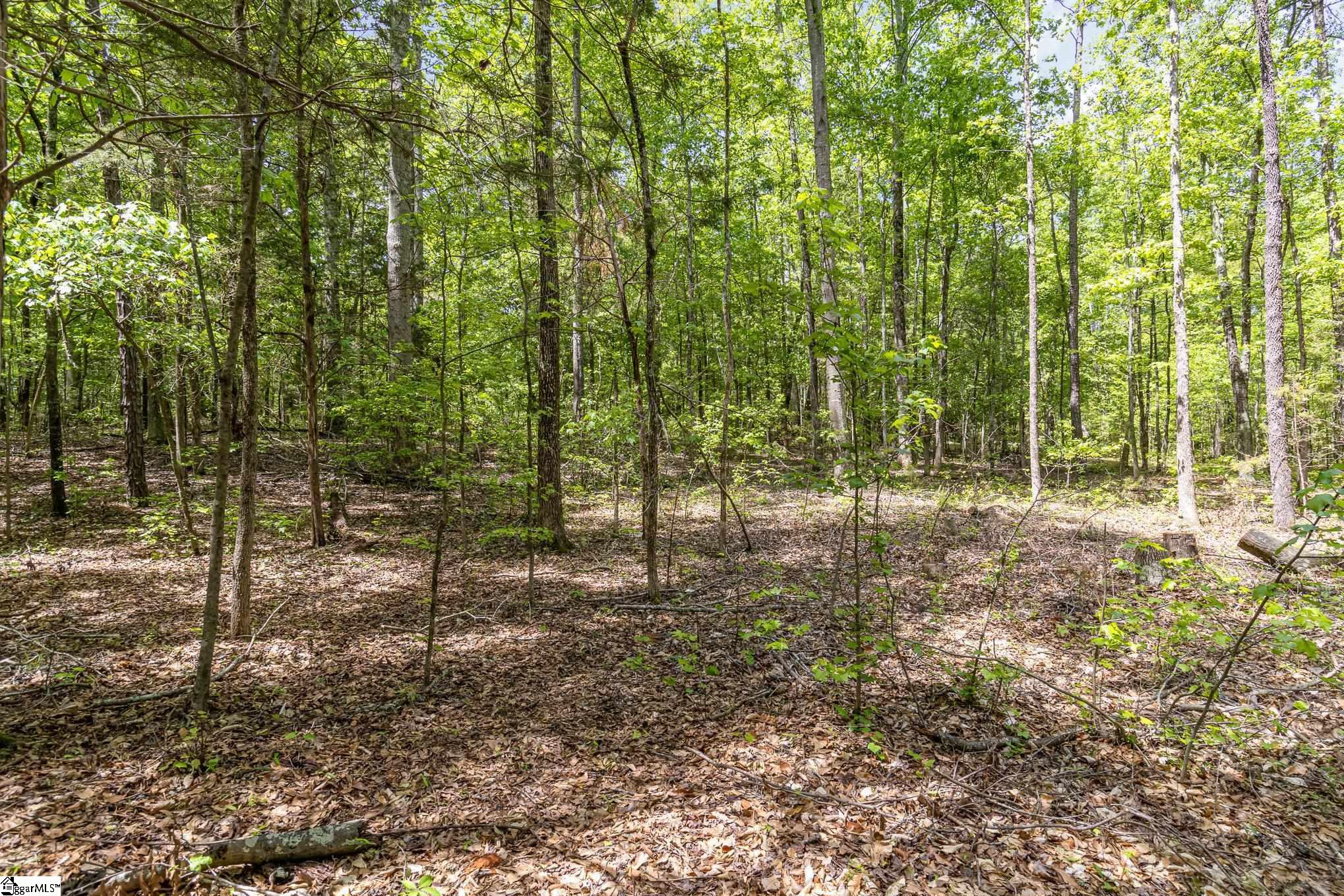 231 Tate Chapman Road