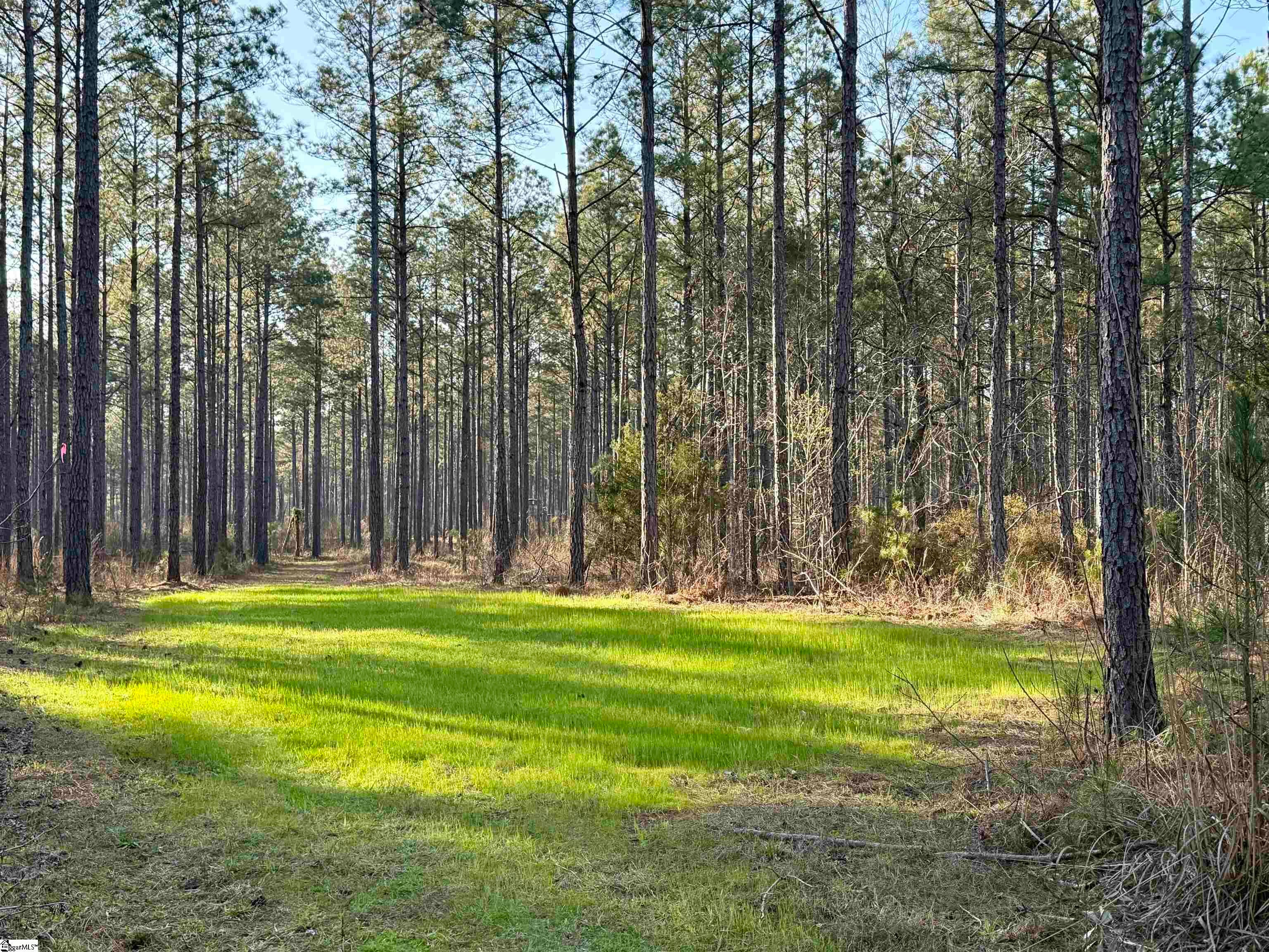 00 Highway 28, Abbeville, SC, 29620