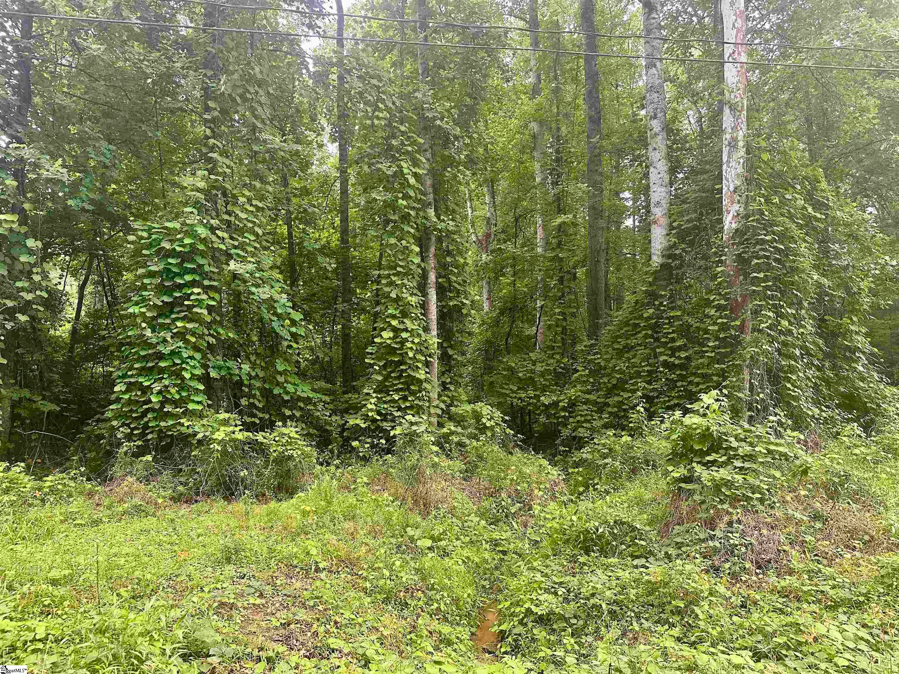 00 Dacusville Road
