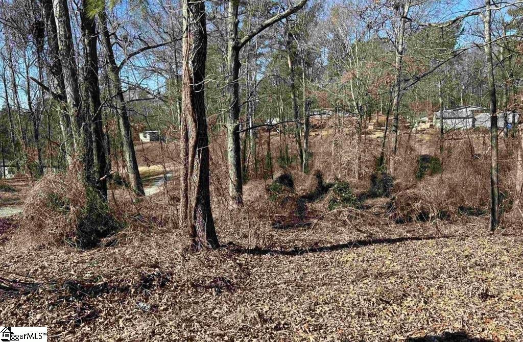 00 Wynette Way, Inman, SC, 29349