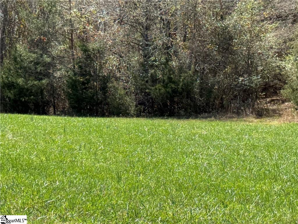 00 Holland Ford Road, Pelzer, SC, 29669