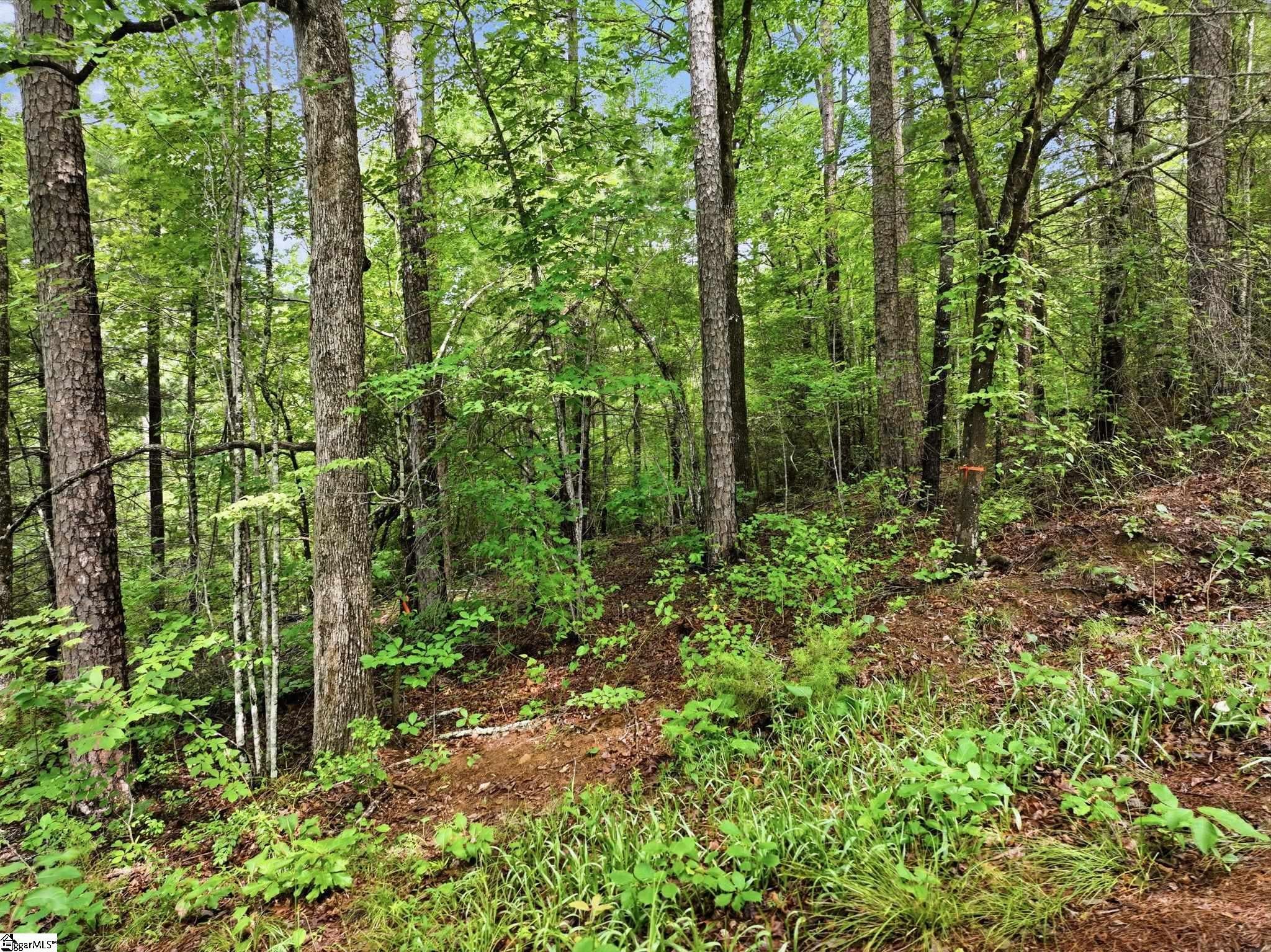 231 Cherokee Hills Drive, Pickens, SC, 29671