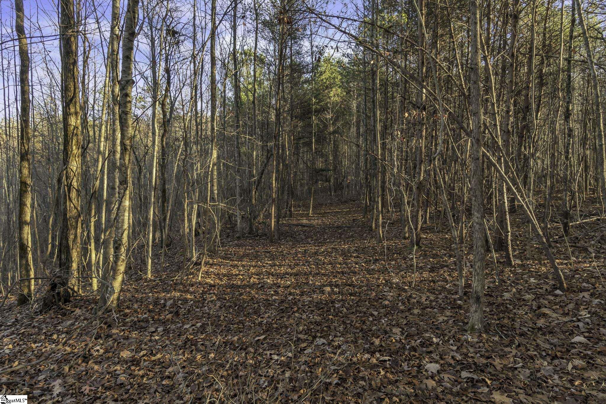 00 Ponder Lane