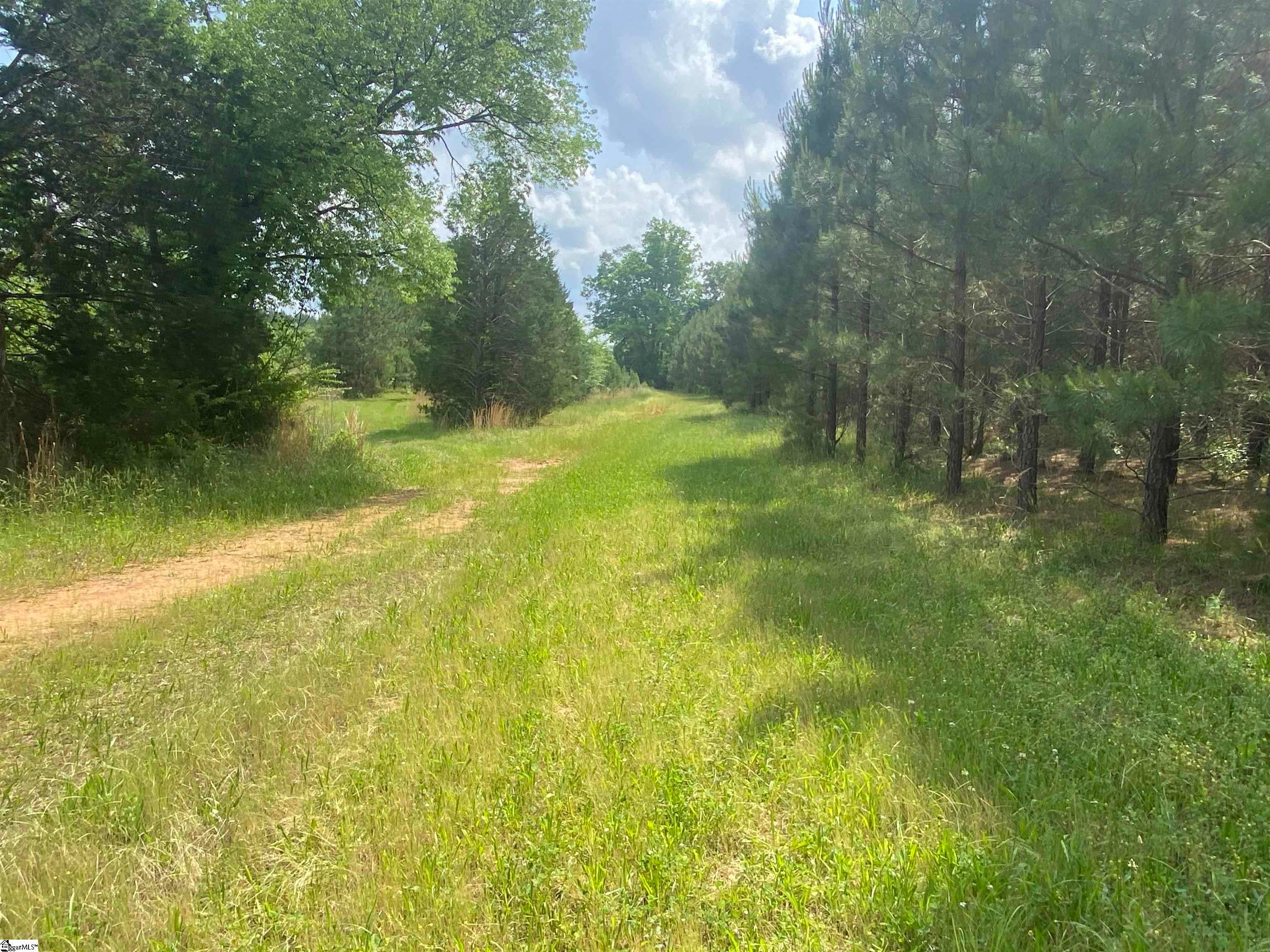 3393 Poplar Springs Road