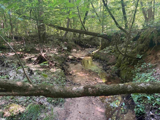 OLD CALHOUN FALLS RD, ABBEVILLE, SC 29620 - Image 1b994e52bb47ac34b668fae126c9fefd/3791915744