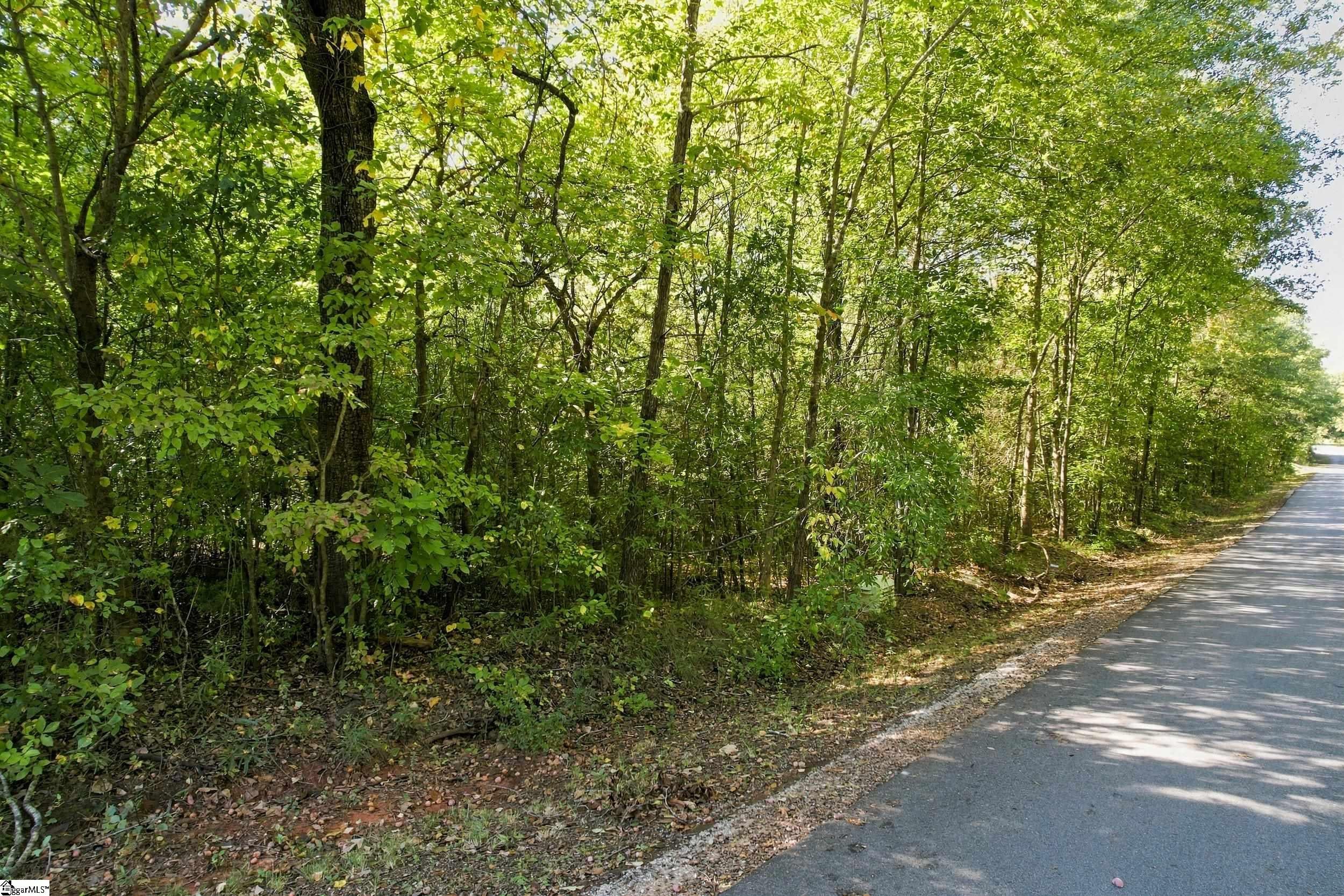 66 Mountain View School Road