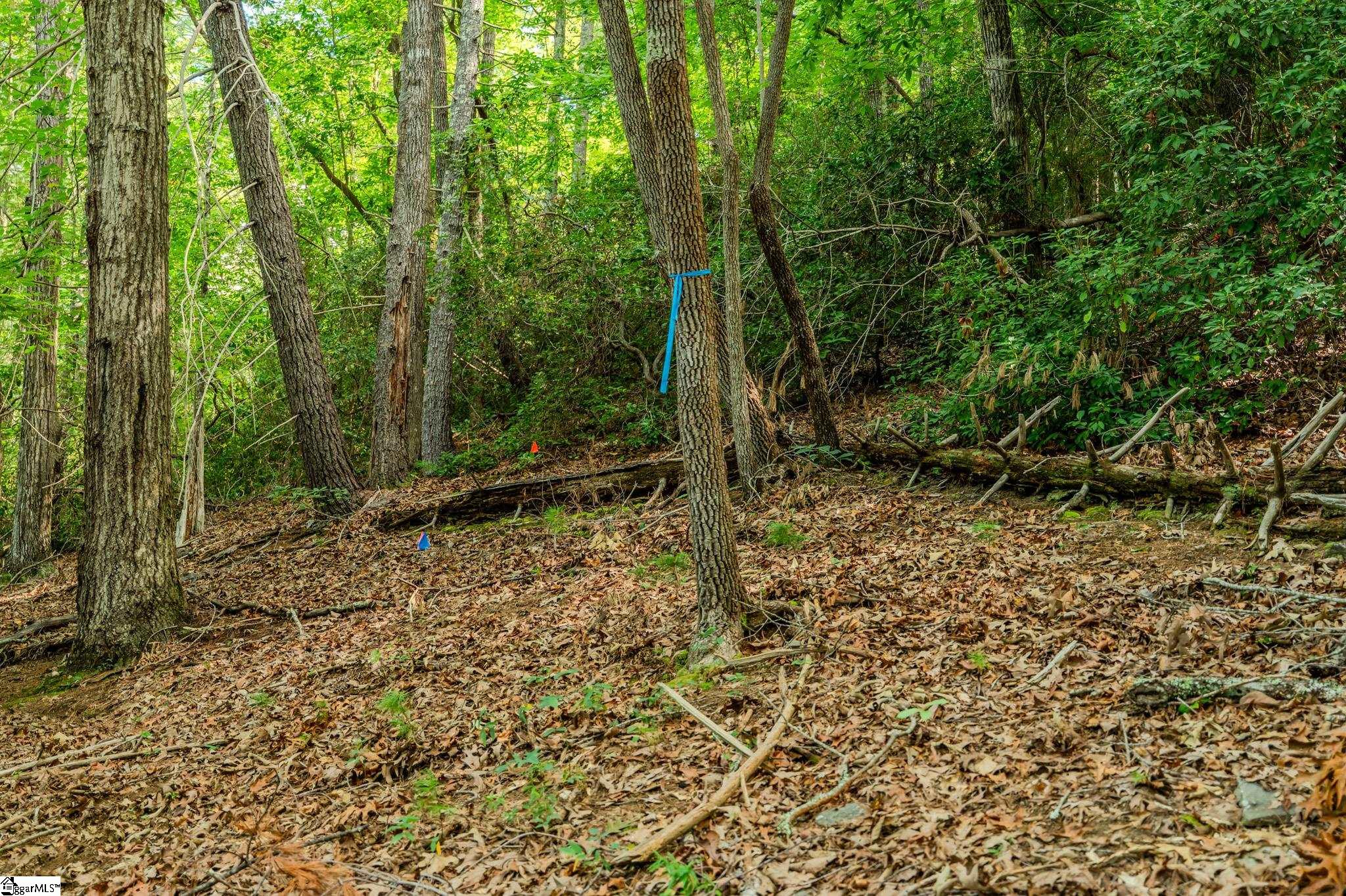 108 Blazing Star Court