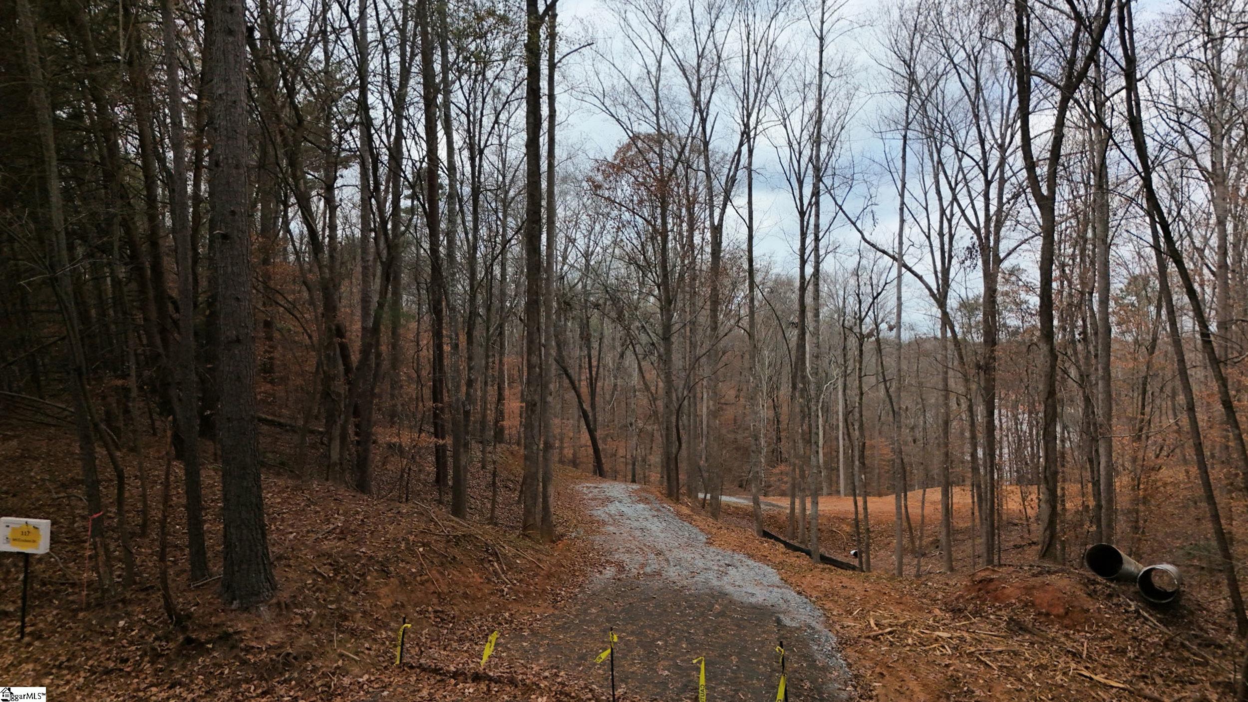 Seneca, South Carolina 29678, United States, ,Land,Active,250589