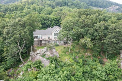 33 Southview Ledge Road Landrum SC 29356