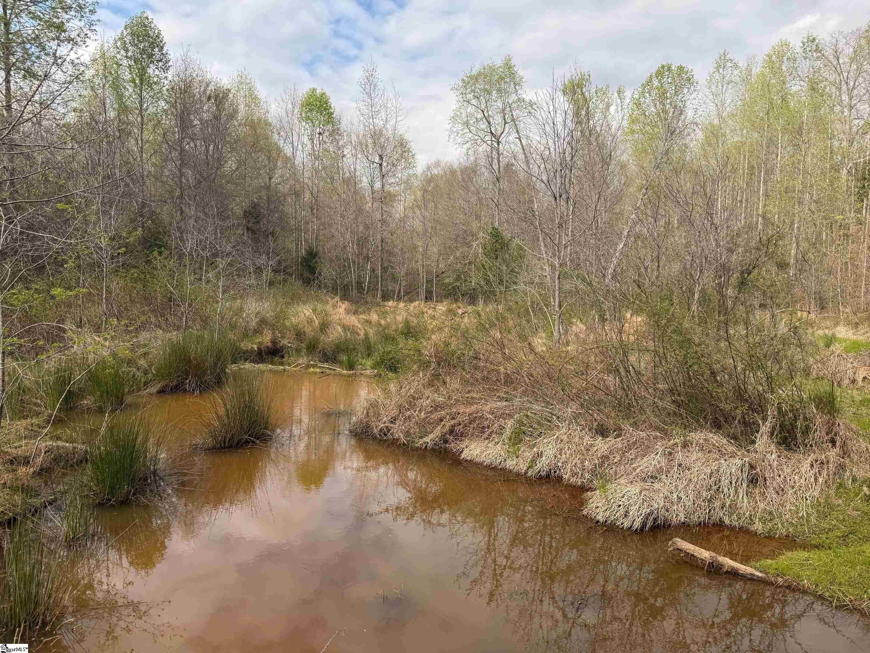 1515 Flat Rock Road, Starr, SC, 29684