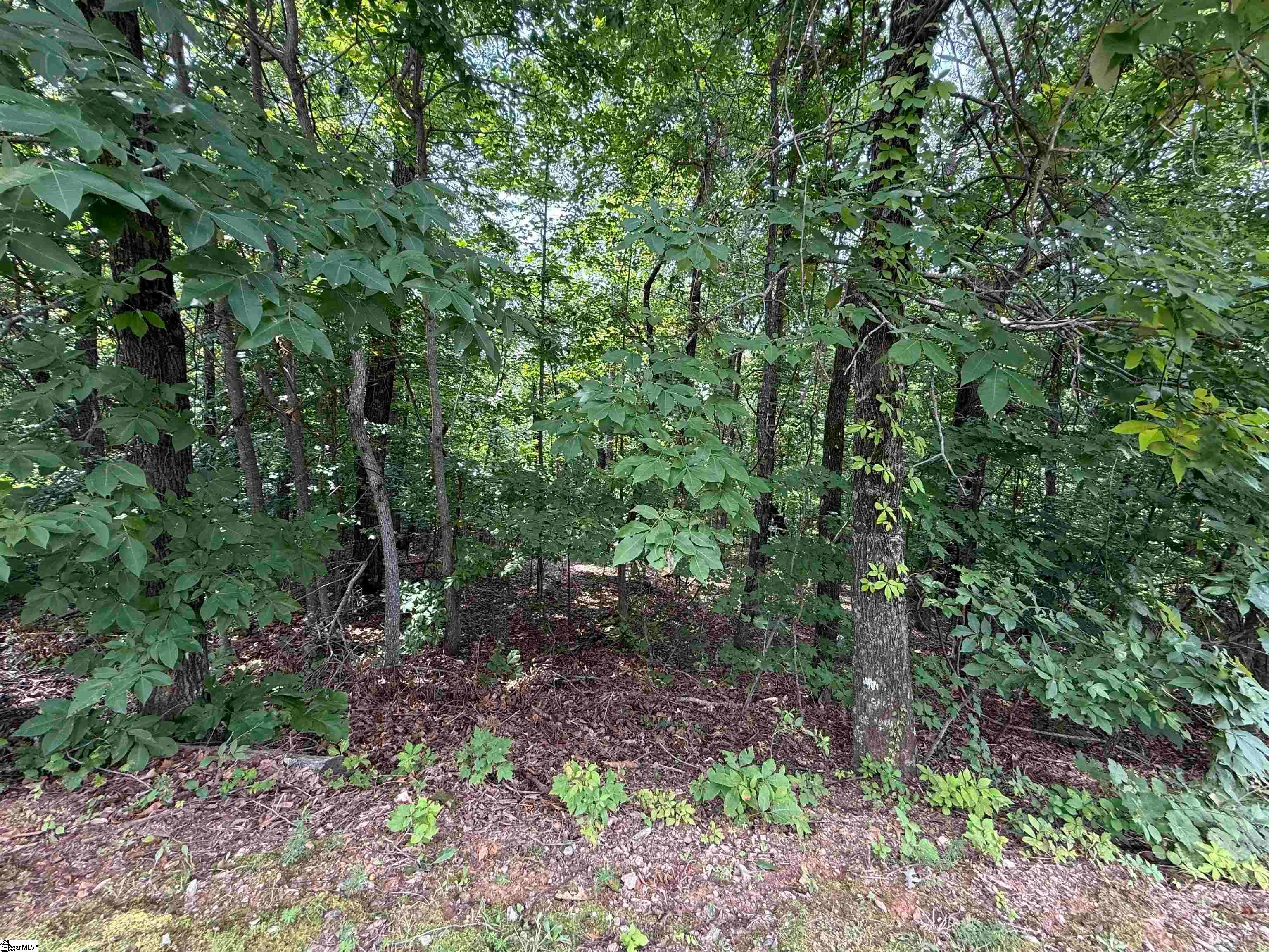 140 Crowne Hill Way, Marietta, SC, 29661