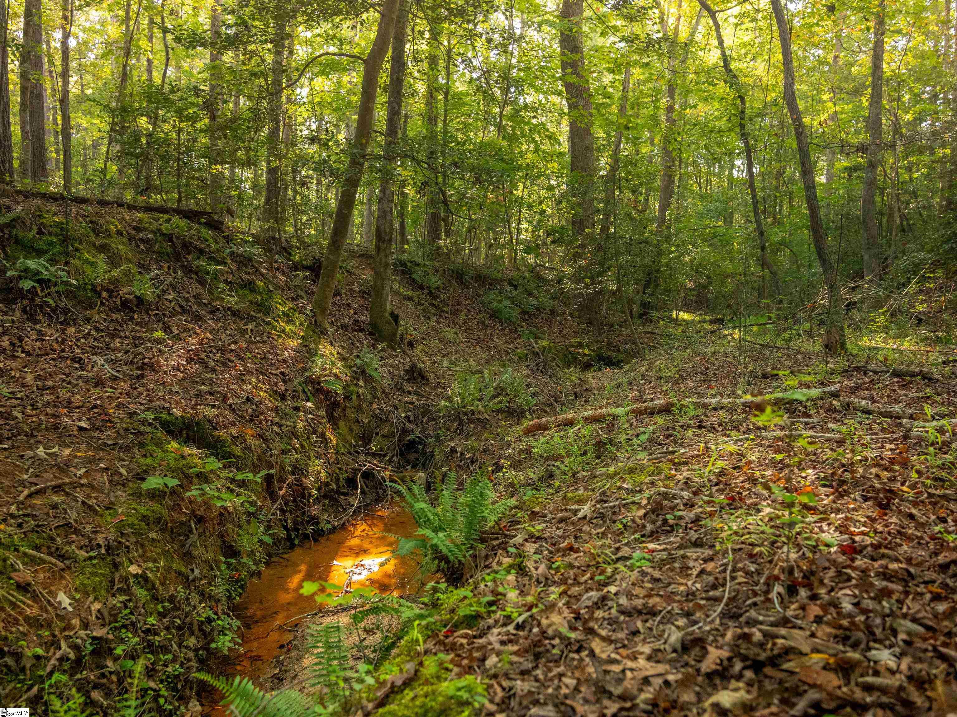 01 Spring Valley Road Lot 1