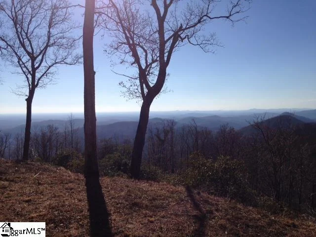 1506 Panther Park Trail