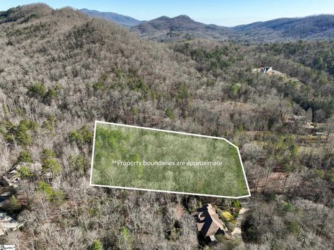 Photo of 912 Hidden Hollow Trail, Travelers Rest, SC 29690 (MLS # 1575902)