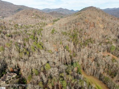 Photo of 912 Hidden Hollow Trail, Travelers Rest, SC 29690 (MLS # 1575902)