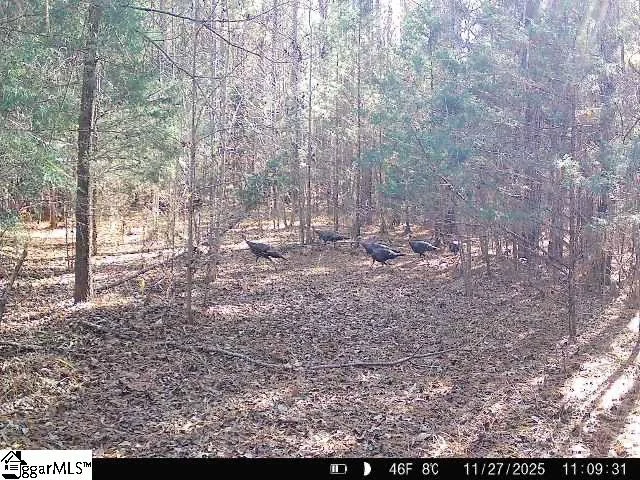 00 Simpson Mill Road, Laurens, SC, 29360