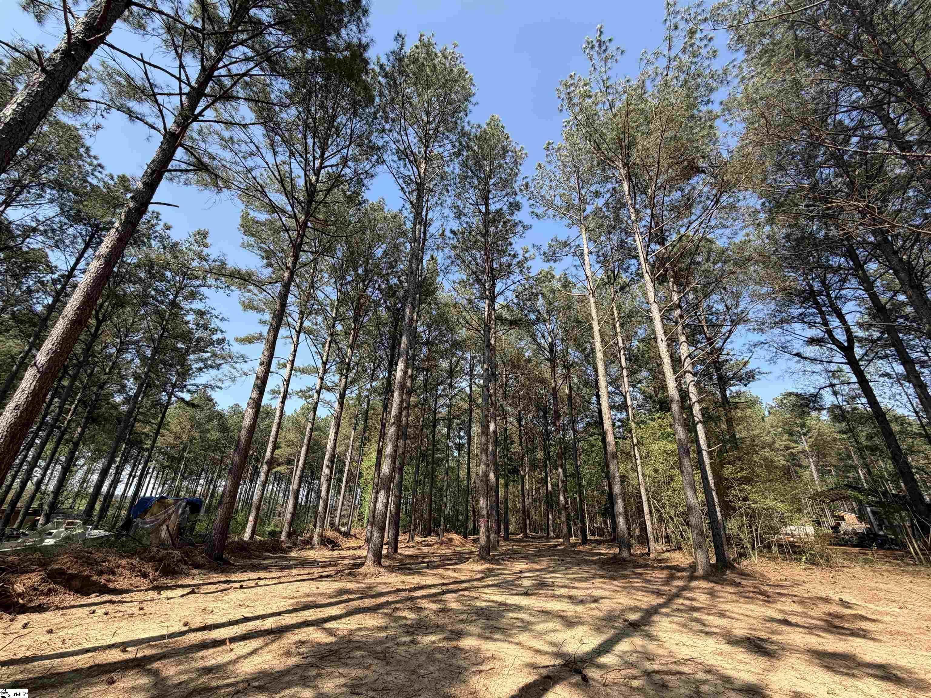 206 Fishers Cove Road