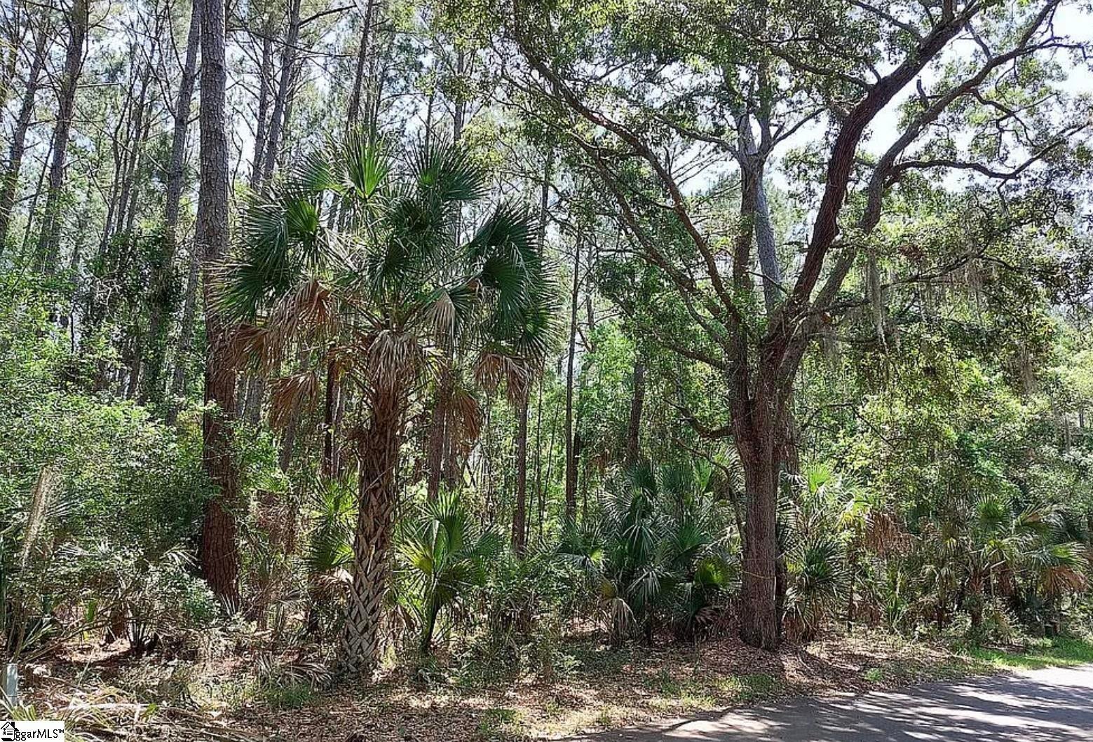 12 Sweetgrass Lane, Kiawah Island, SC, 29455