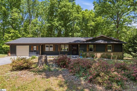 Photo of 305 Dill Circle, Landrum, SC 29356 (MLS # 1589415)