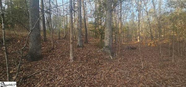 BISHOP RD, PAULINE, SC 29374 - Image 400a6c3019dfc5acce2634232d545ea1/2012556070
