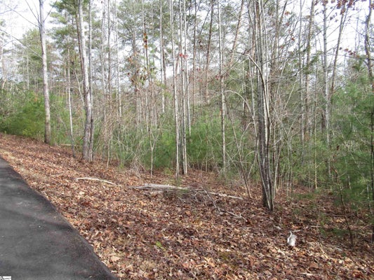 110 FIRESIDE LN, PICKENS, SC 29671 - Image 411edeeaa4e415edffed6d1478a1f04f/2227299967