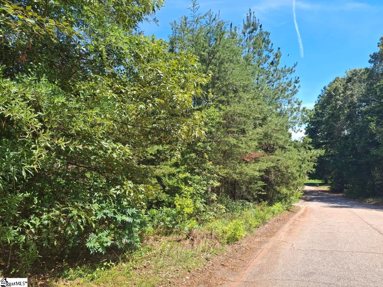 302 Walnut Drive