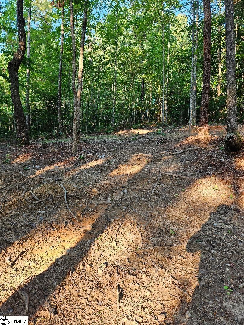 116 Fireside Lane, Pickens, SC, 29671
