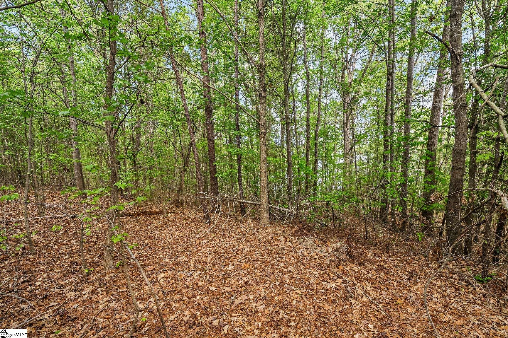 467 Overlook Drive