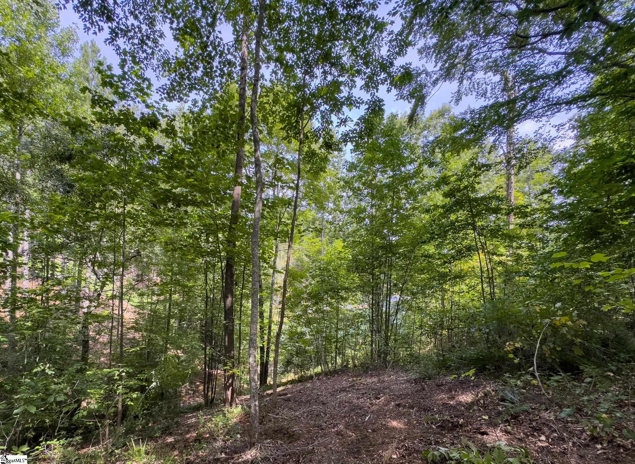 West Union, South Carolina 29696, United States, ,Land,Active,173626