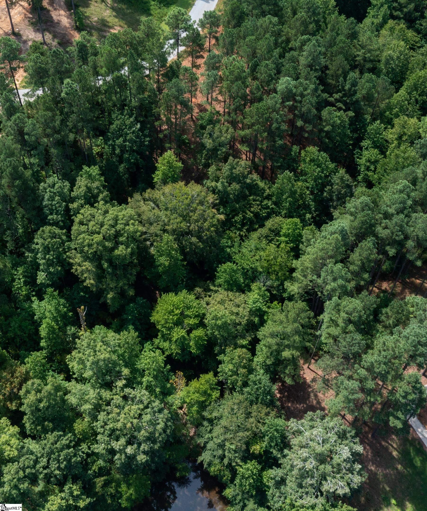 West Union, South Carolina 29696, United States, ,Land,Active,173626