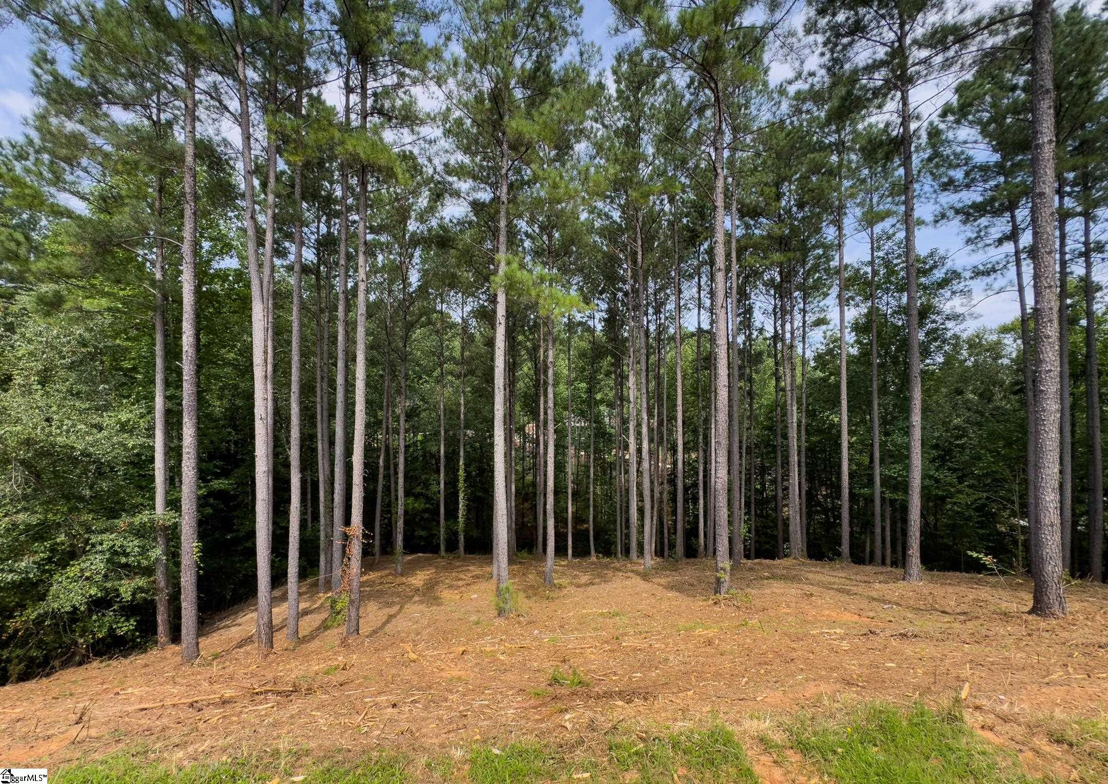 West Union, South Carolina 29696, United States, ,Land,Active,173626