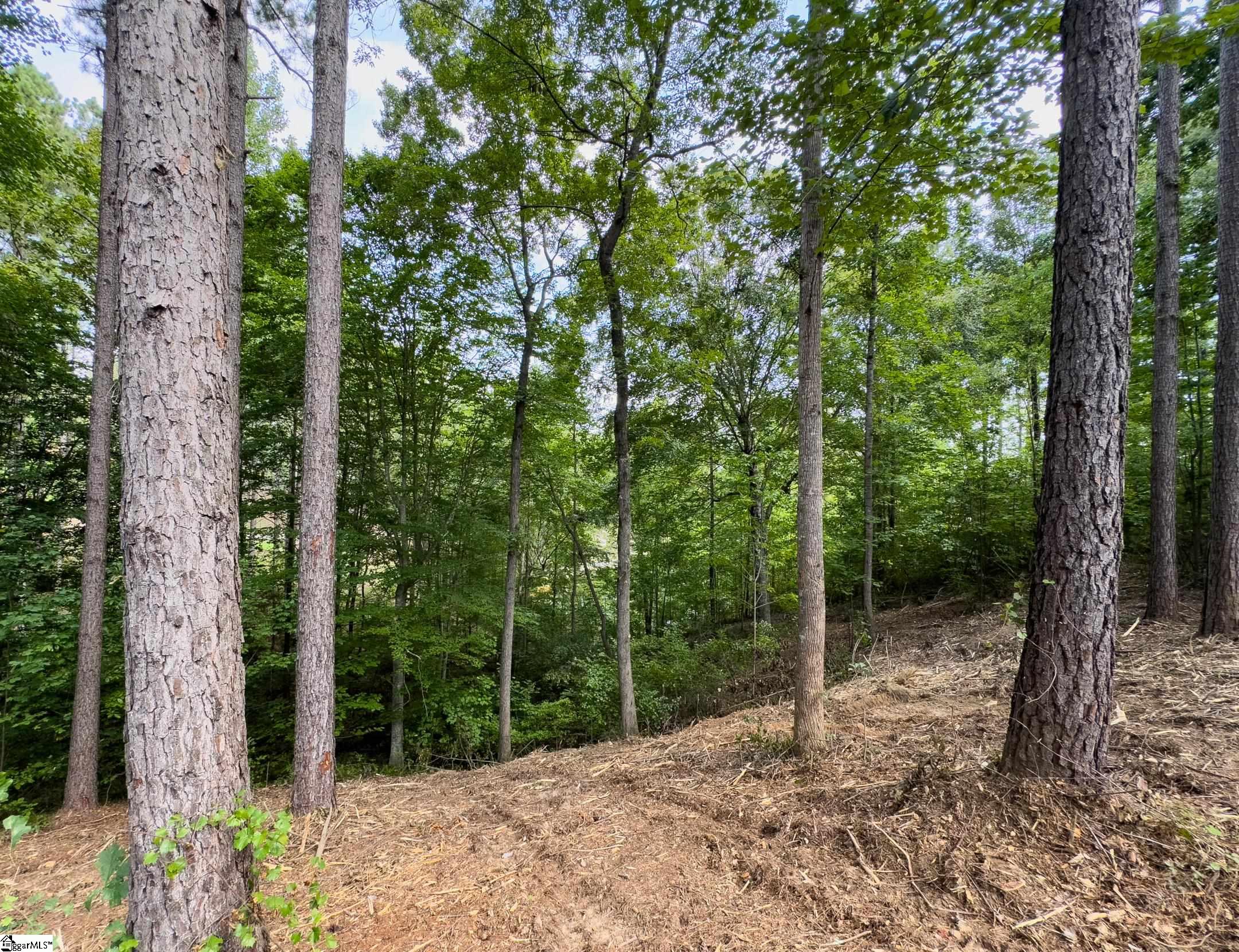 West Union, South Carolina 29696, United States, ,Land,Active,173626