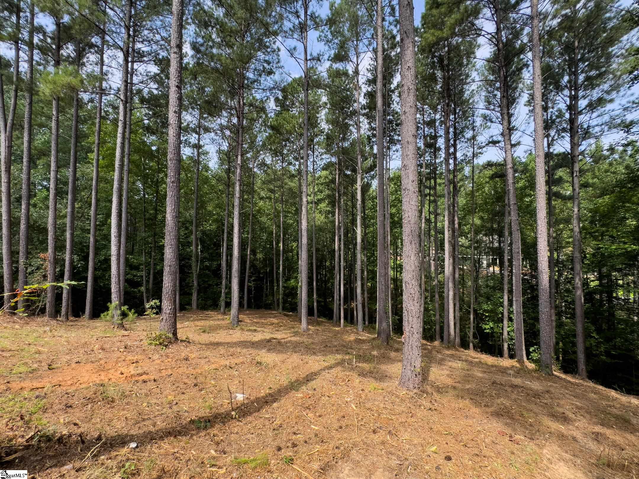 West Union, South Carolina 29696, United States, ,Land,Active,173626