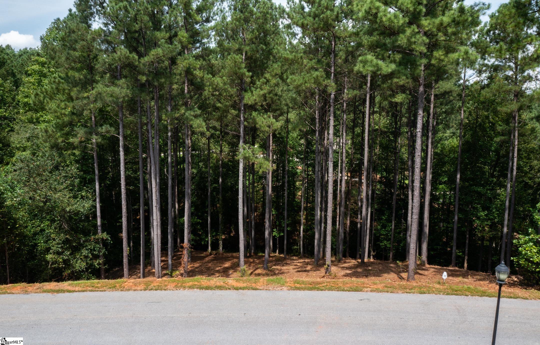 West Union, South Carolina 29696, United States, ,Land,Active,173626