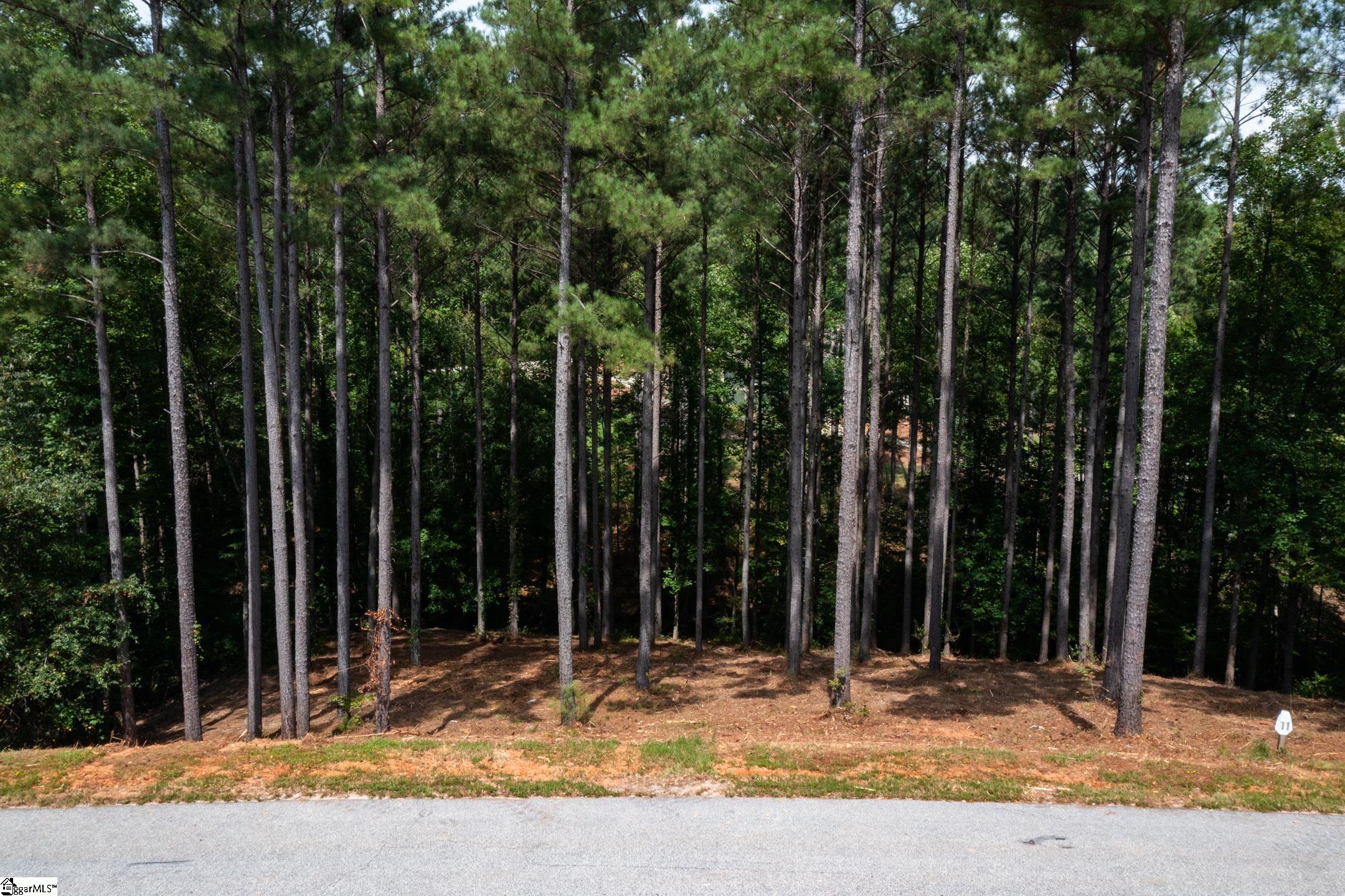 West Union, South Carolina 29696, United States, ,Land,Active,173626