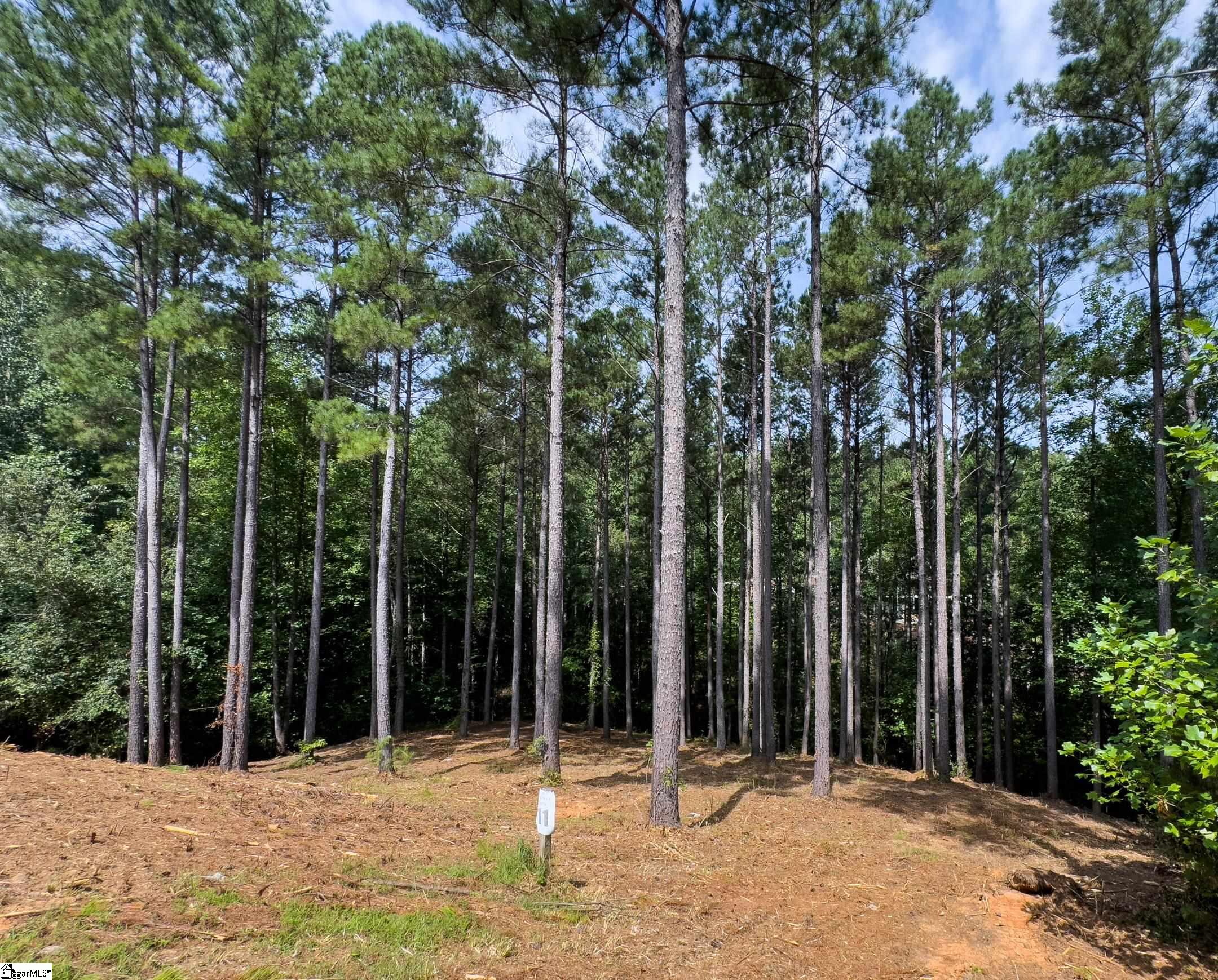 West Union, South Carolina 29696, United States, ,Land,Active,173626