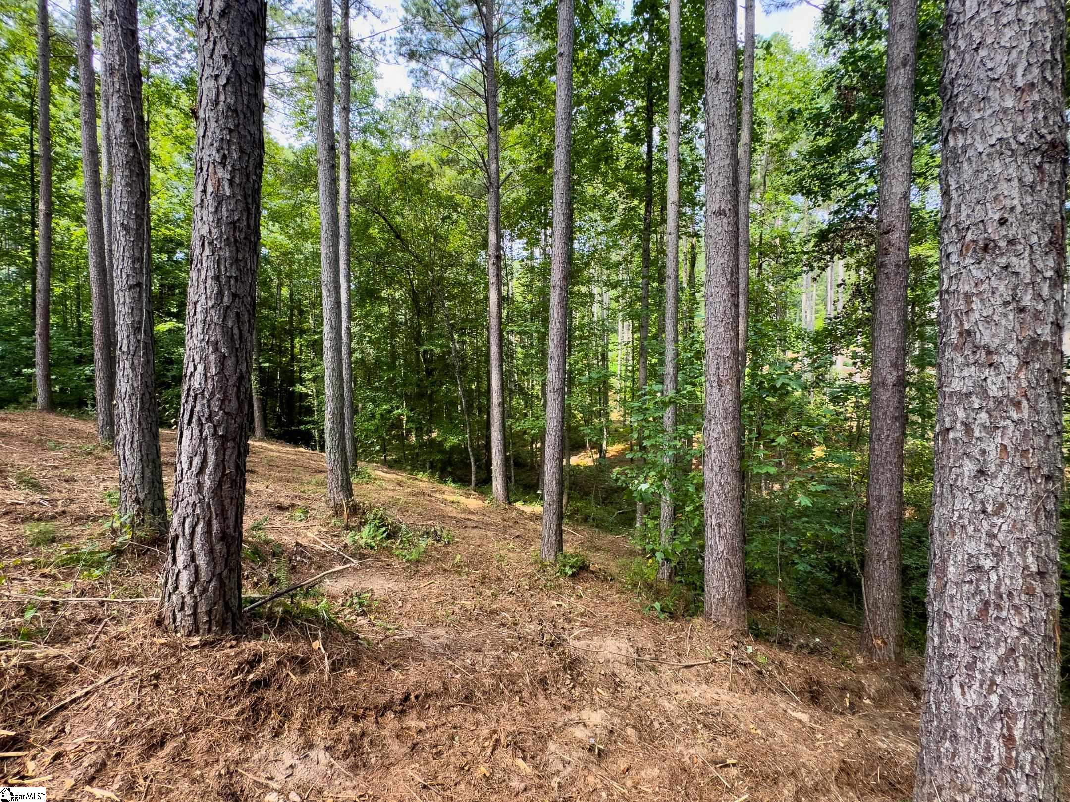 West Union, South Carolina 29696, United States, ,Land,Active,173626