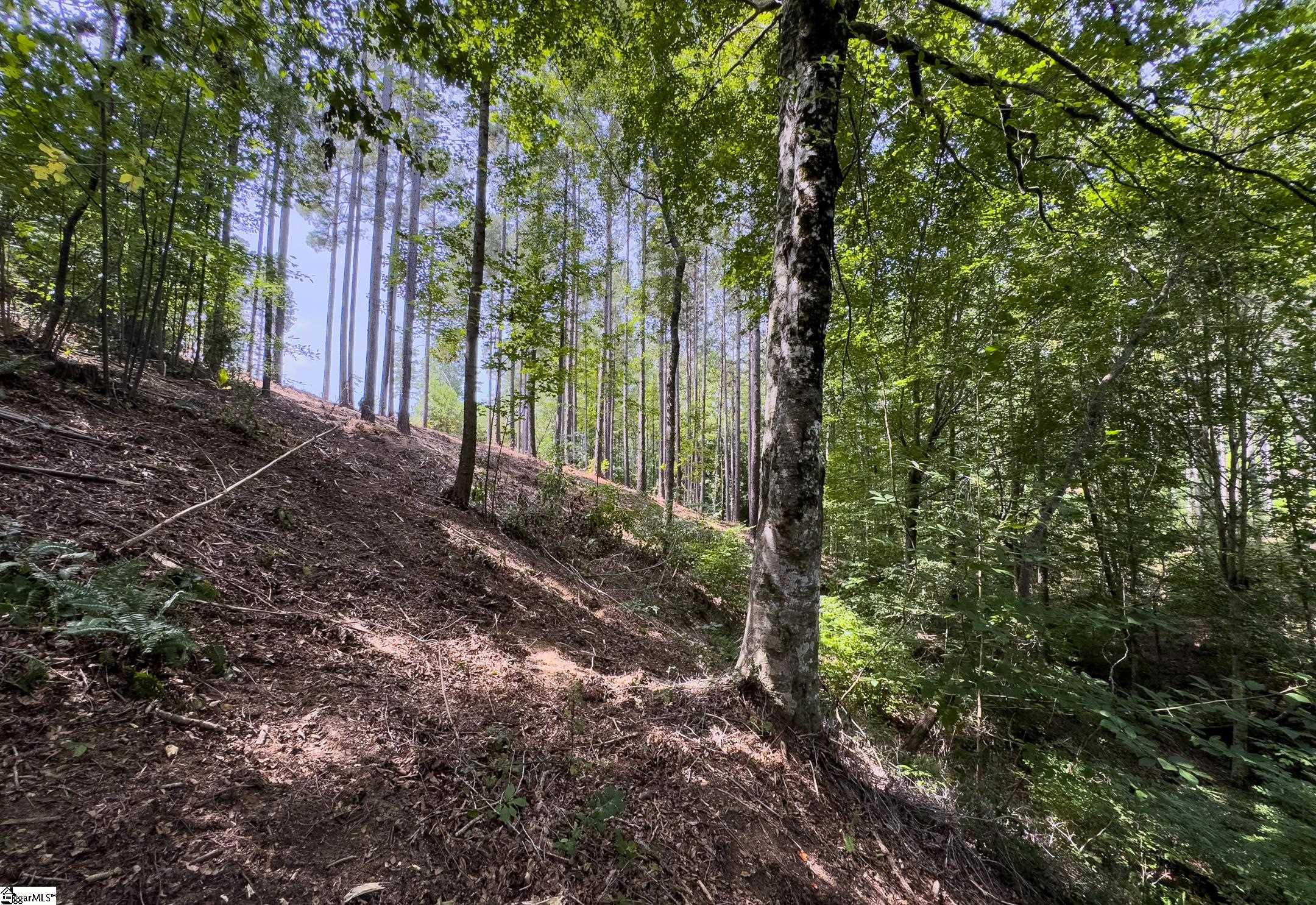 West Union, South Carolina 29696, United States, ,Land,Active,173626