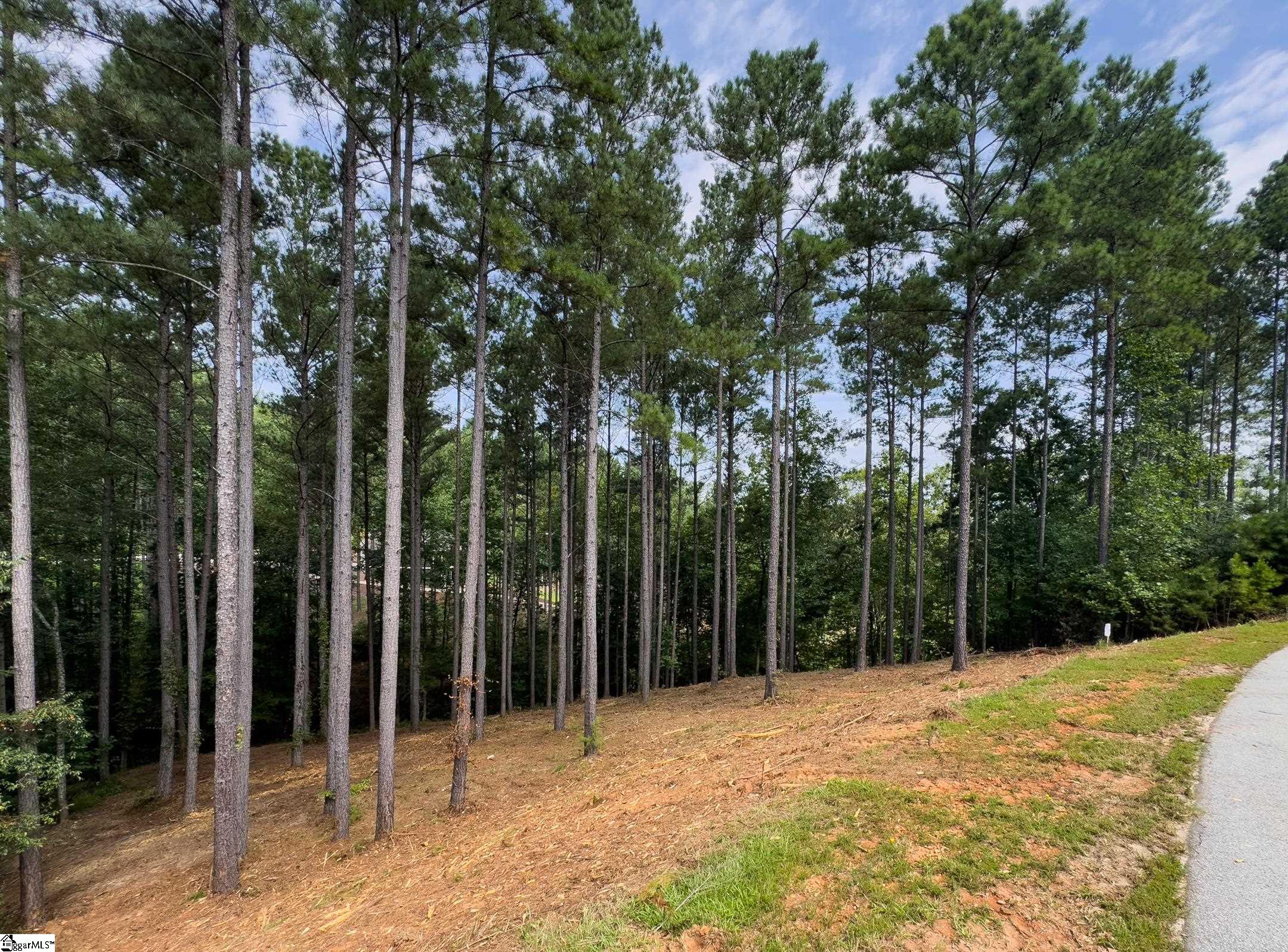 West Union, South Carolina 29696, United States, ,Land,Active,173626