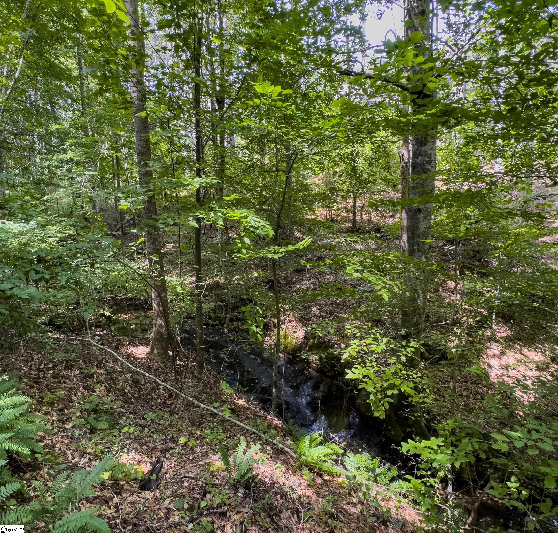 West Union, South Carolina 29696, United States, ,Land,Active,173626