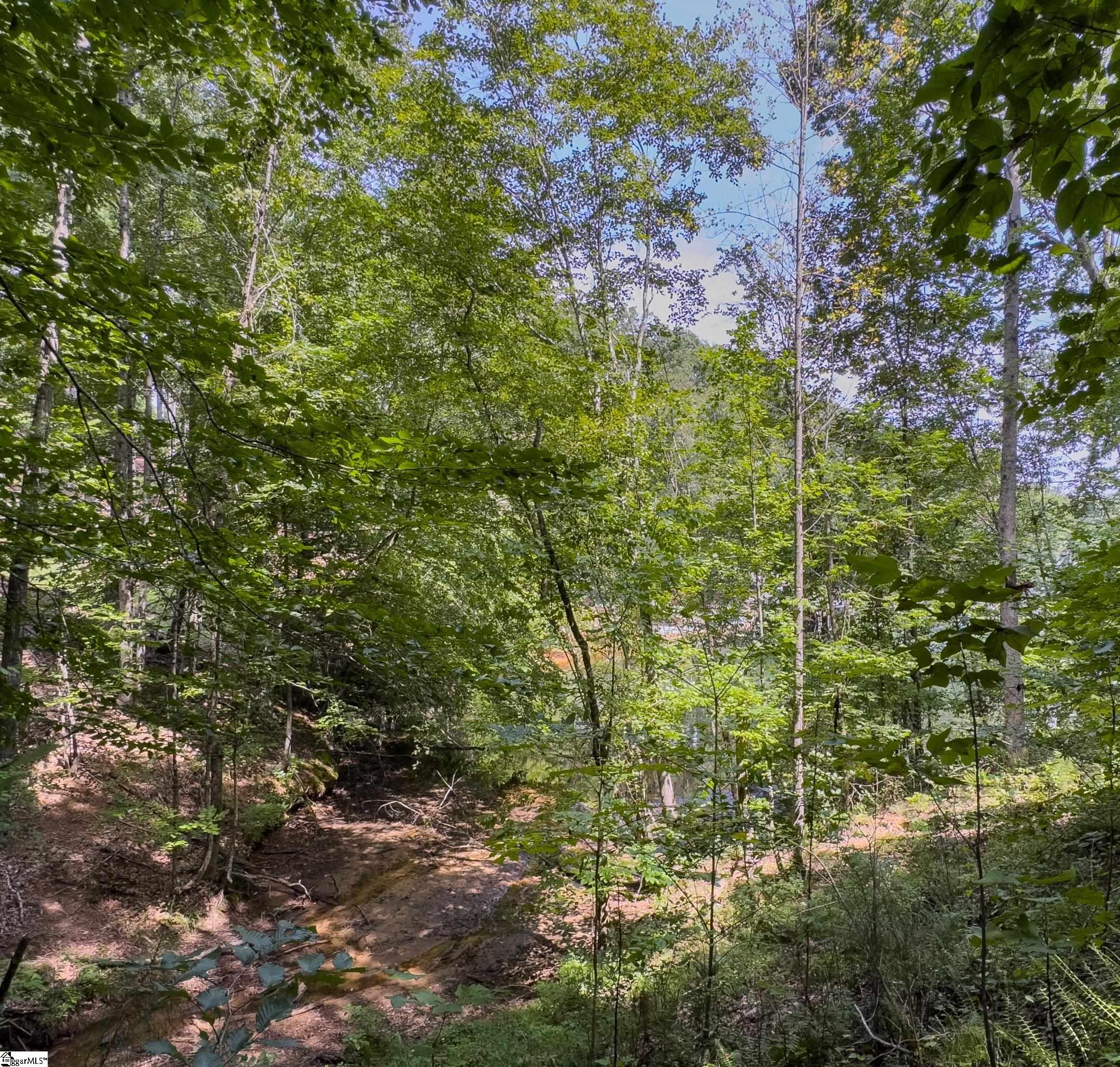 West Union, South Carolina 29696, United States, ,Land,Active,173626