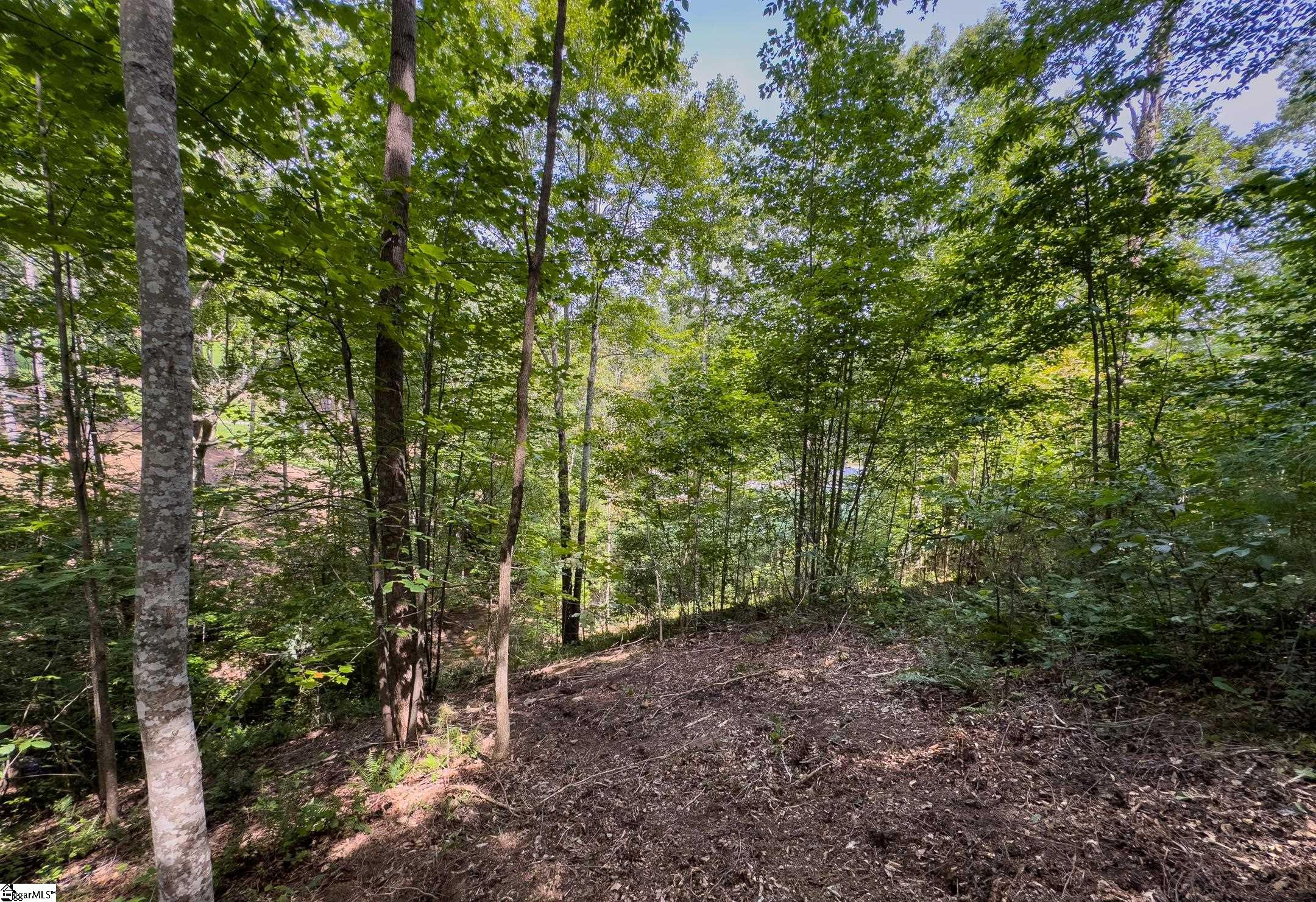 West Union, South Carolina 29696, United States, ,Land,Active,173626