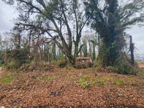 103 Jenkins Place Clemson SC 29631