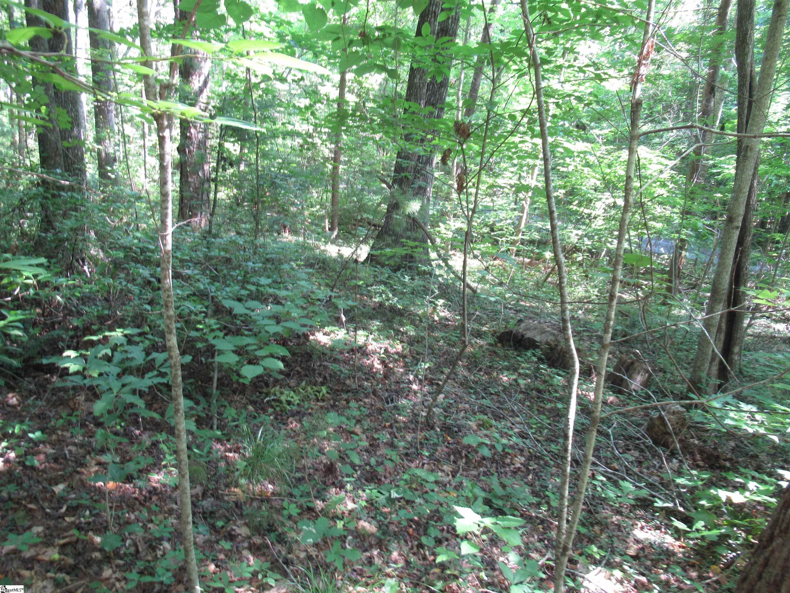 00 Gauley Falls Road Unit Lot 13 Gauley Falls, Pickens, SC, 29671