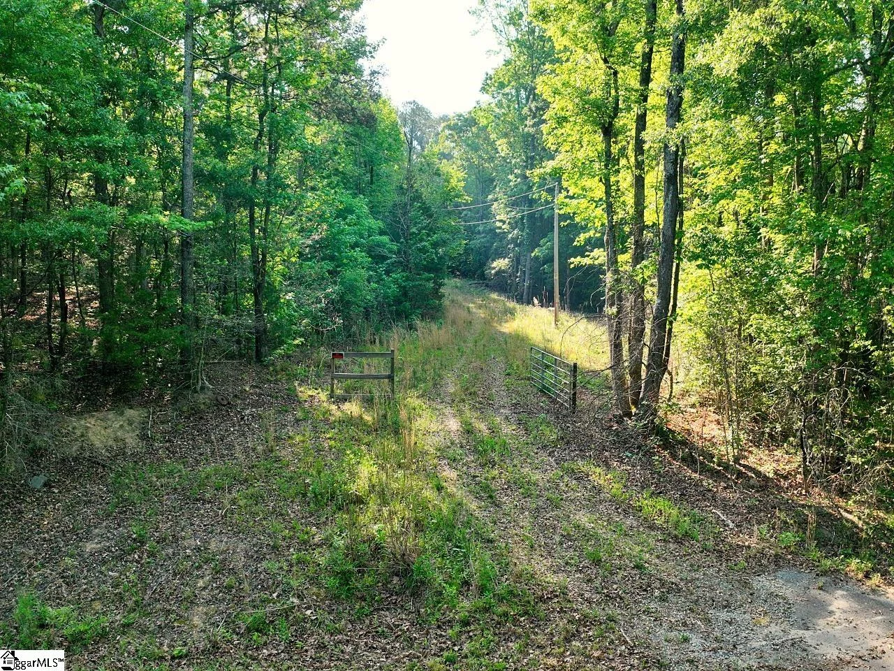 13 Cody Lane