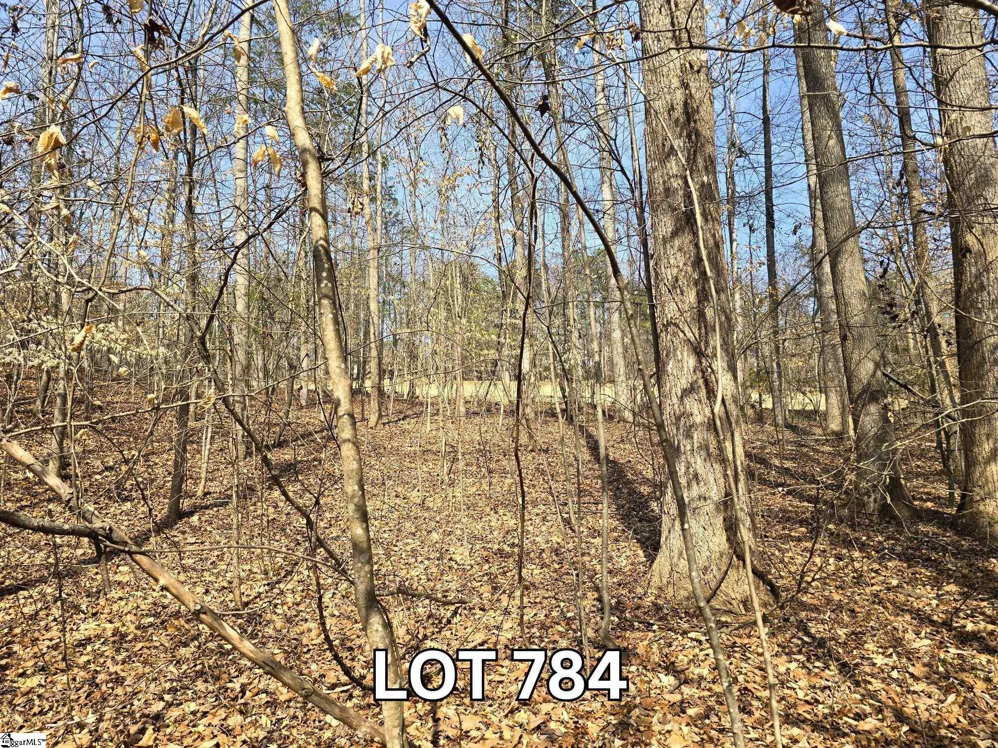 Lot 784 S Hogan Drive