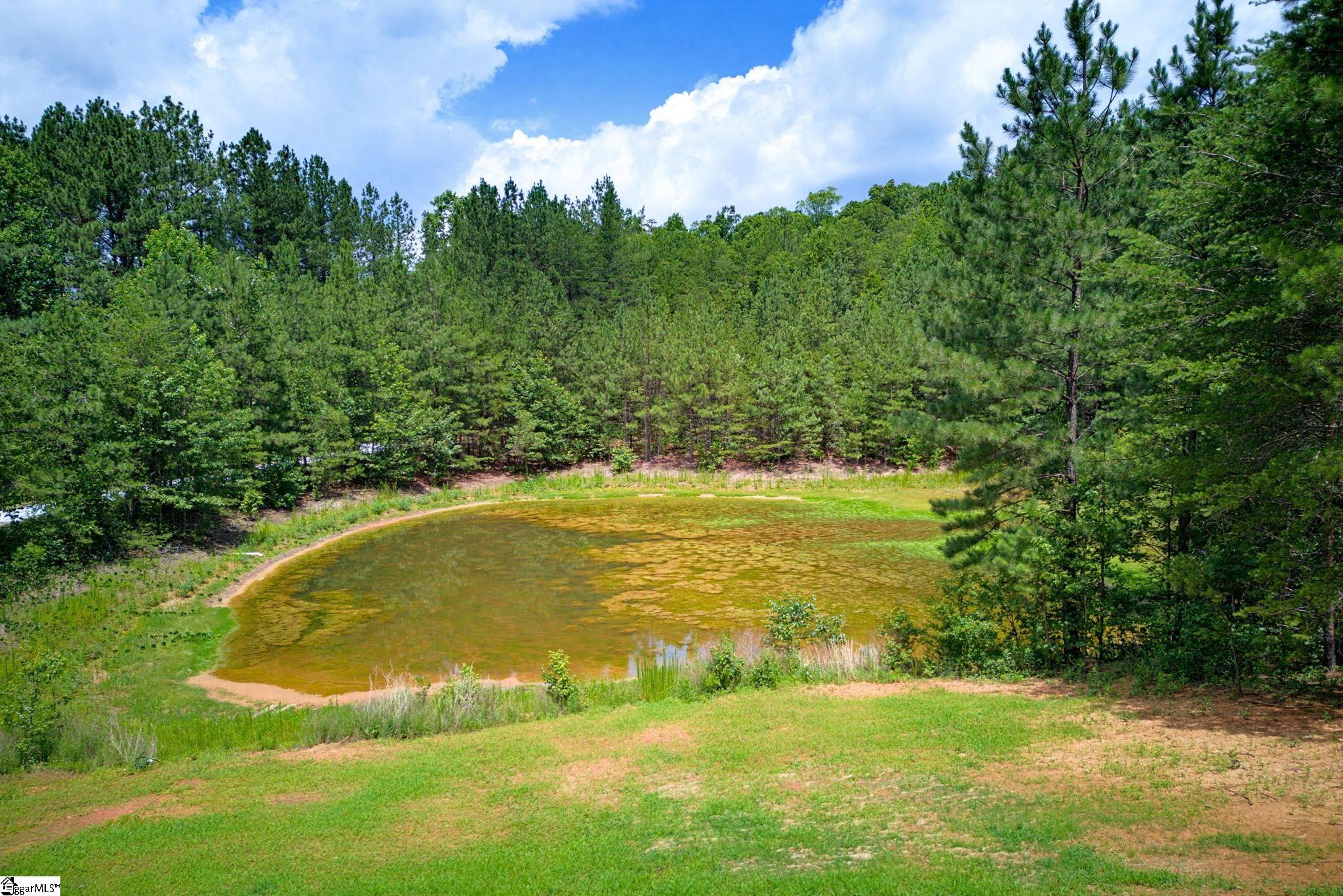 1217 Pleasant Hill Road