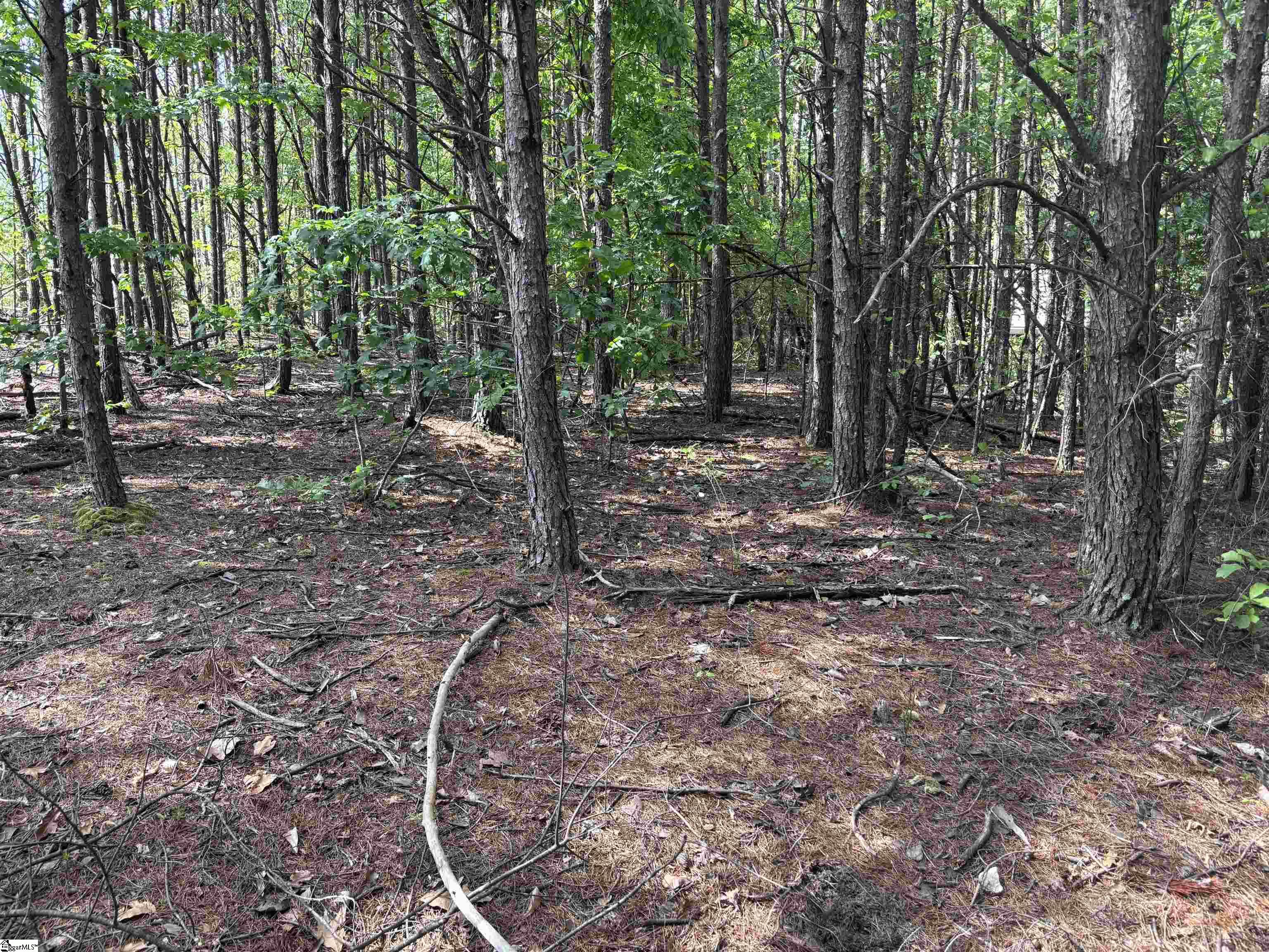 1940 Pleasant Hill Road LOT 3-B